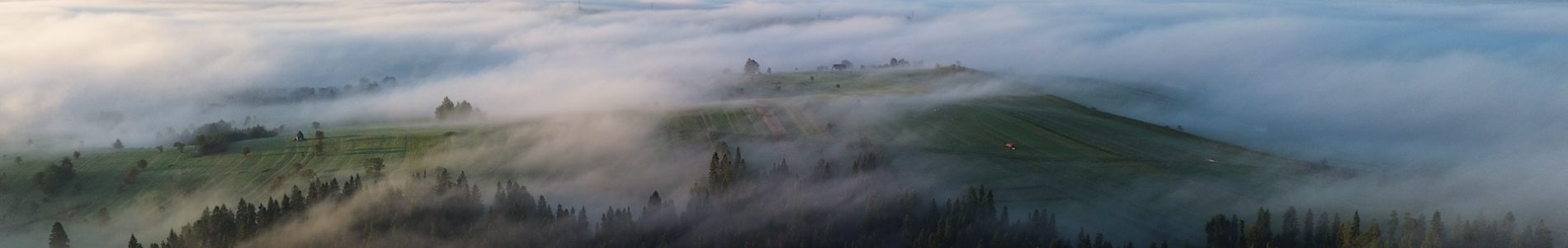 Pokoje u Zosi - Pyzowka - lato